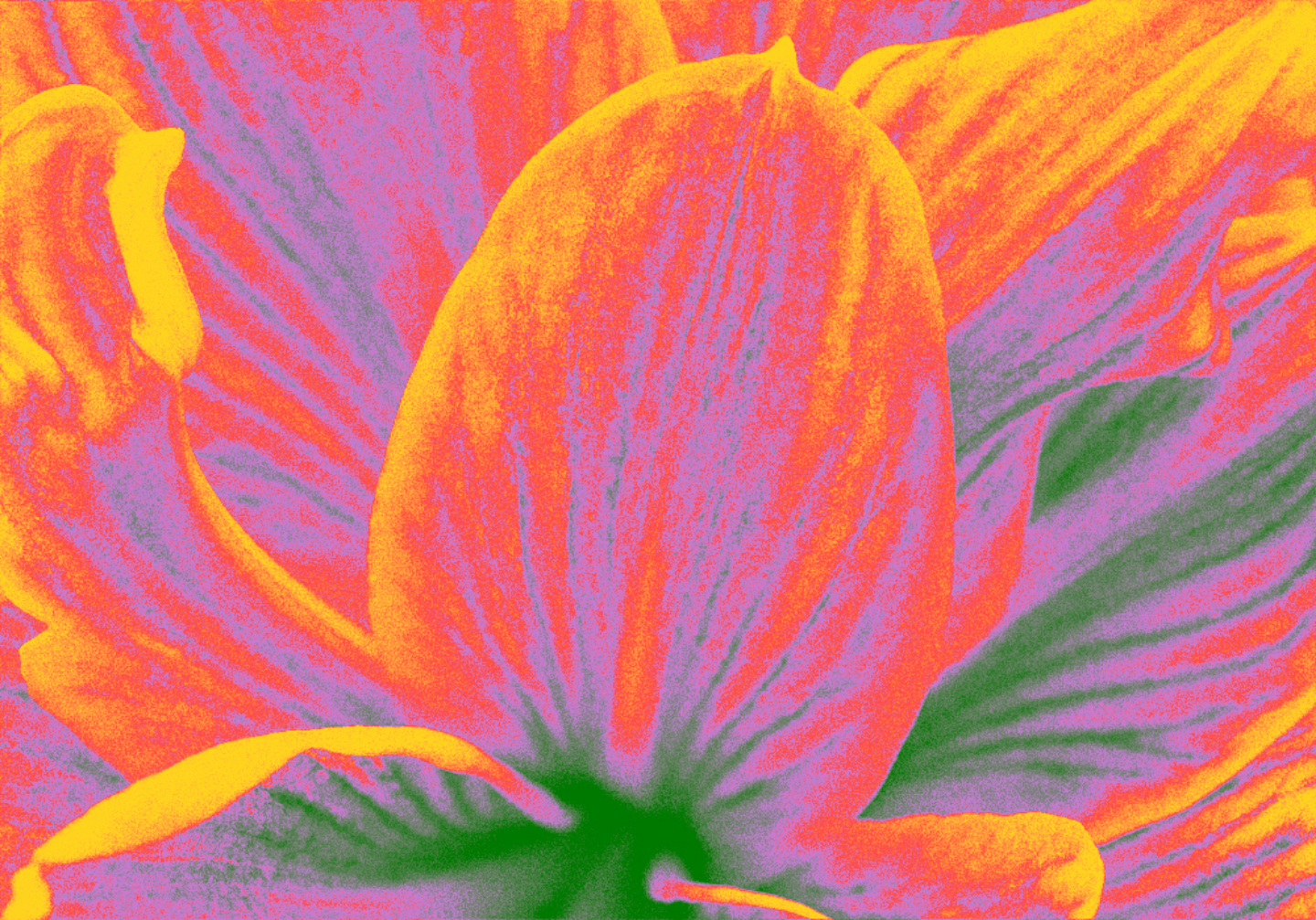 Together We Bloom